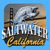 SaltwaterCA