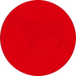 Follow The Red Dot