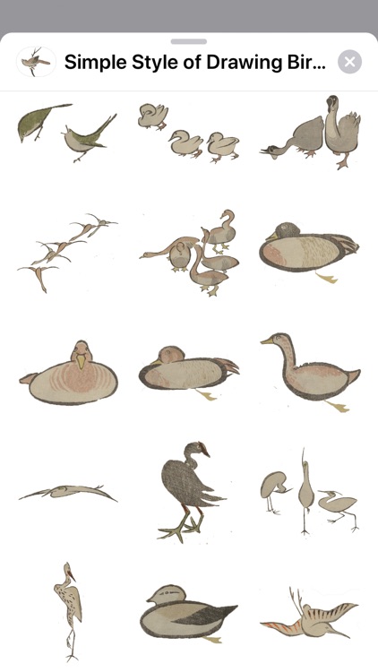 Birds and Animals Stickers