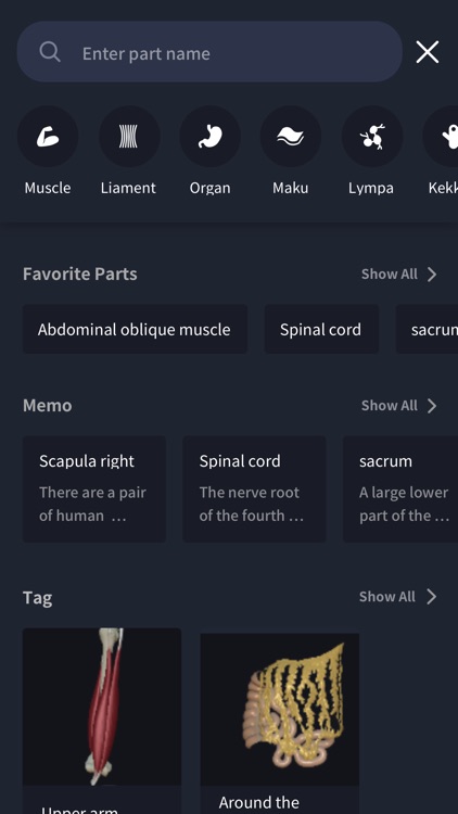 3D anatomy teamLabBody2020
