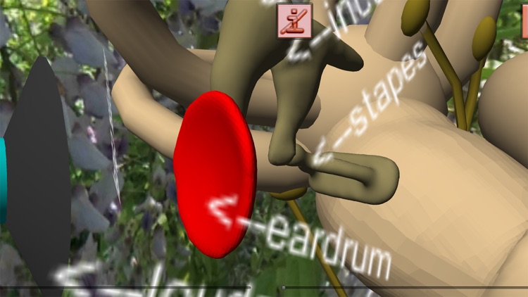 Bioanim Complete screenshot-7