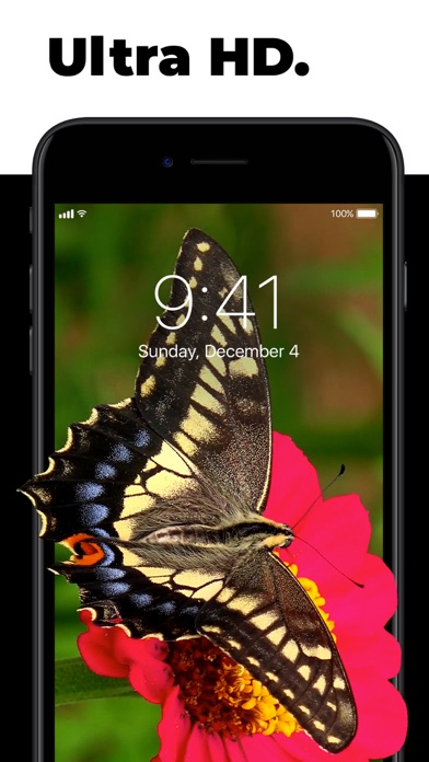 Live Wallpapers for Me - Free Animated Themes and Custom Dynamic Backgrounds Screenshot 3