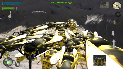 Wasp Nest Simulation Full screenshot 4