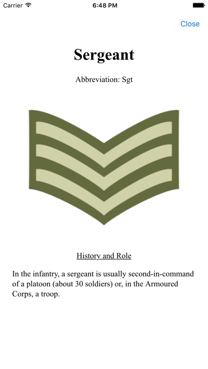 Army Insignia screenshot-2