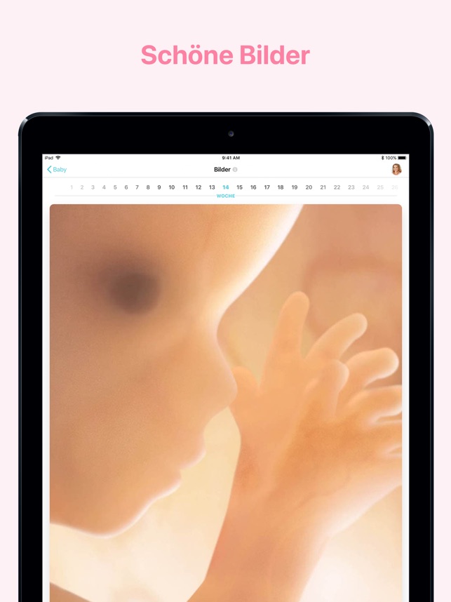 Schwangerschaft Im App Store