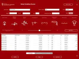 Game screenshot Body Condition Scorer mod apk