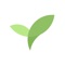 Plantie is a time management app that allows you to grow and harvest your favorite fruits while stay focused on your work