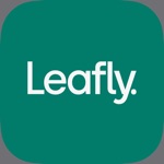 Leafly: Marijuana Reviews