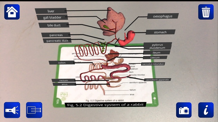 Dat Thin Pone Biology AR screenshot-3