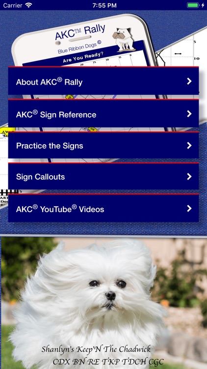Pocket Rally Dog Obedience screenshot-0