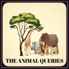 The Animal Queries