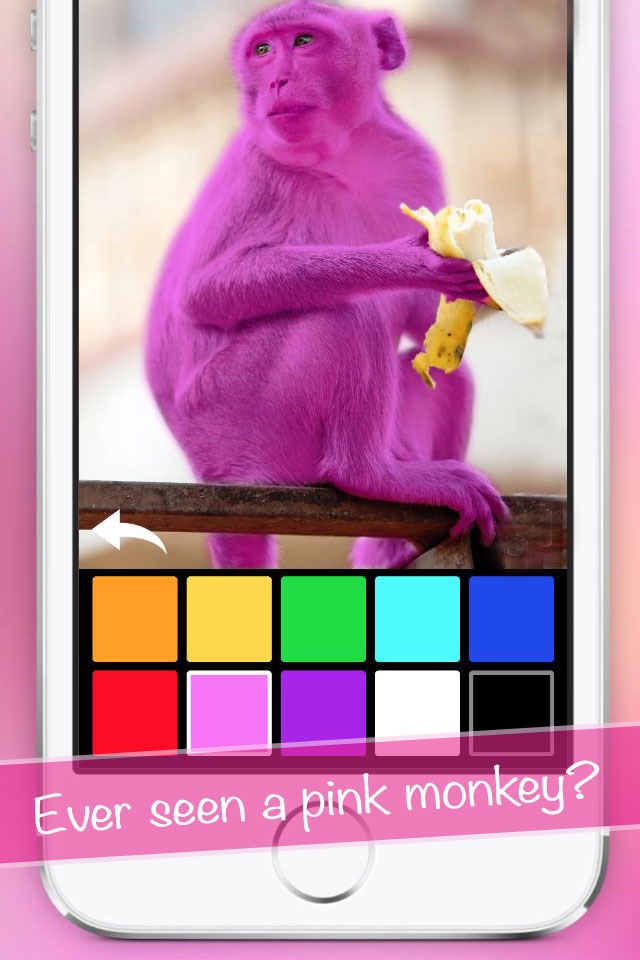Color Zoo - Learn colors screenshot 4