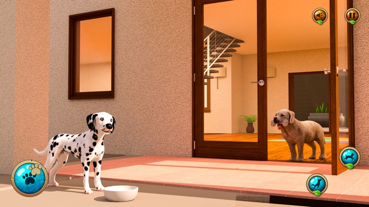 Virtual Pet Escape: Dog Games screenshot-4