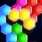 Icon Block Puzzle: Hexa Game
