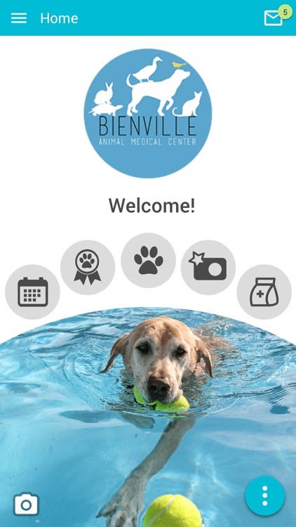 bienville animal clinic