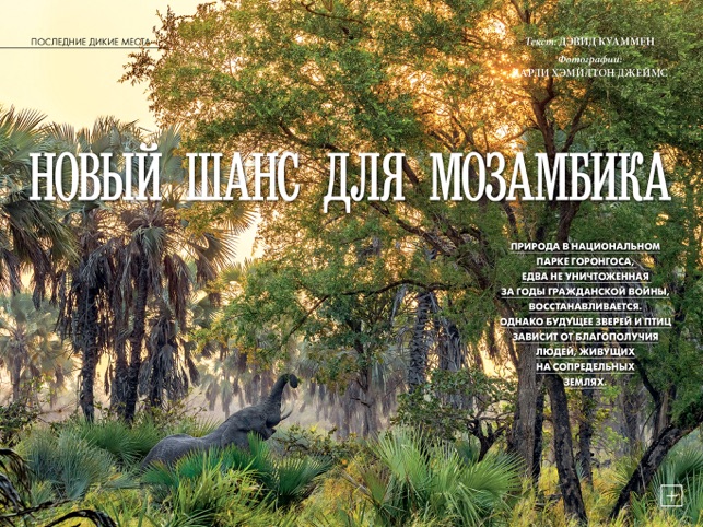 National Geographic Russia(圖4)-速報App