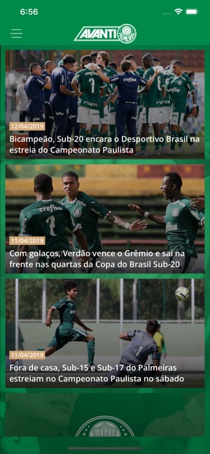 Palmeiras Oficial