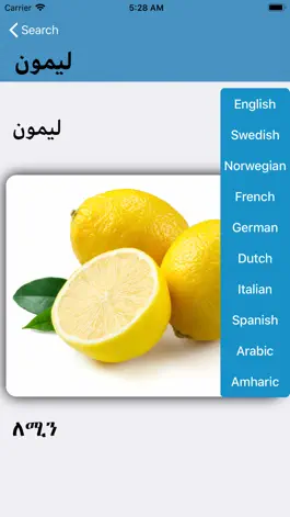 Game screenshot Tigrigna Arabic hack