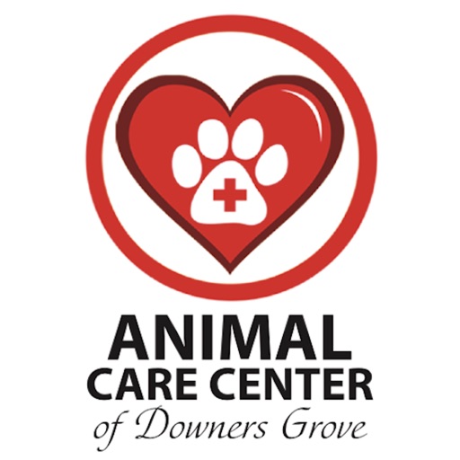 ACC Downers Grove