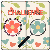 Five Differences Challenge Resources  Generator image 
