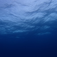 憋气训练 pour PC