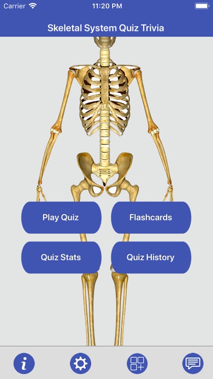 Anatomy: Skeletal System Quiz