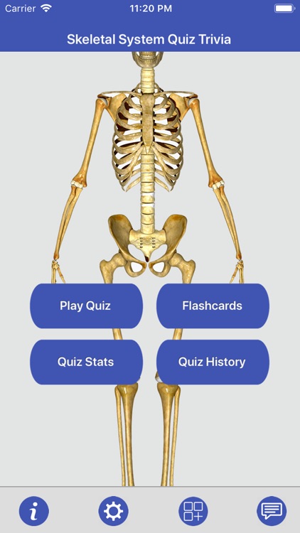 Human Skeletal System Quiz