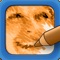 Turn your favorite photos into high quality sketches with SketchMee