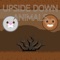 Upsidedown Animals