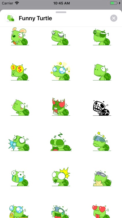 Funny Turtle Animated Stickers