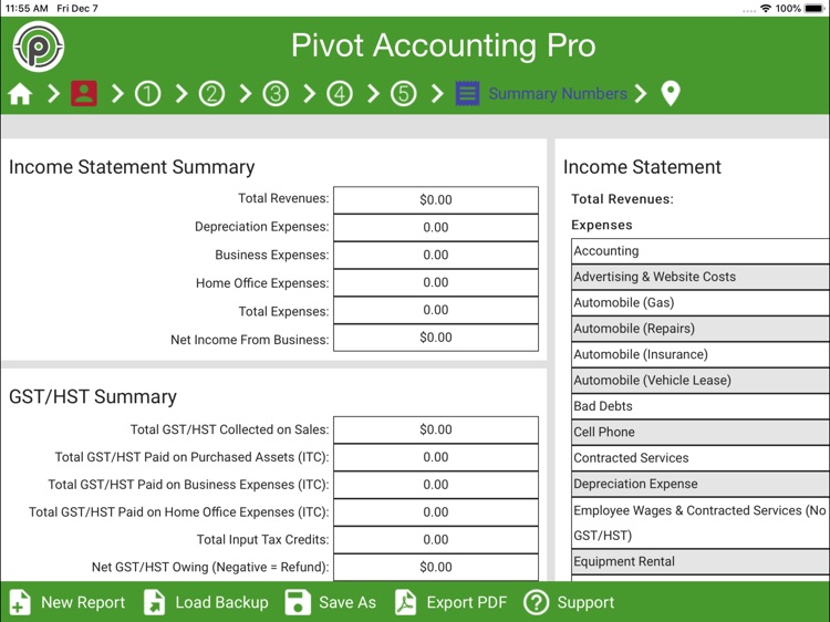 Pivot Accounting Pro