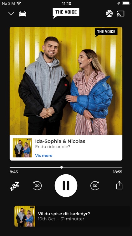 RadioPlay DK