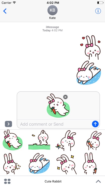 Happy Rabbit 2