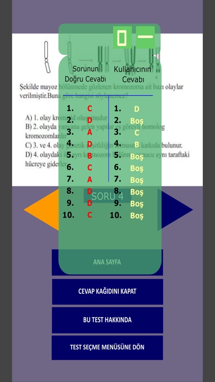 FenTest 6-7-8