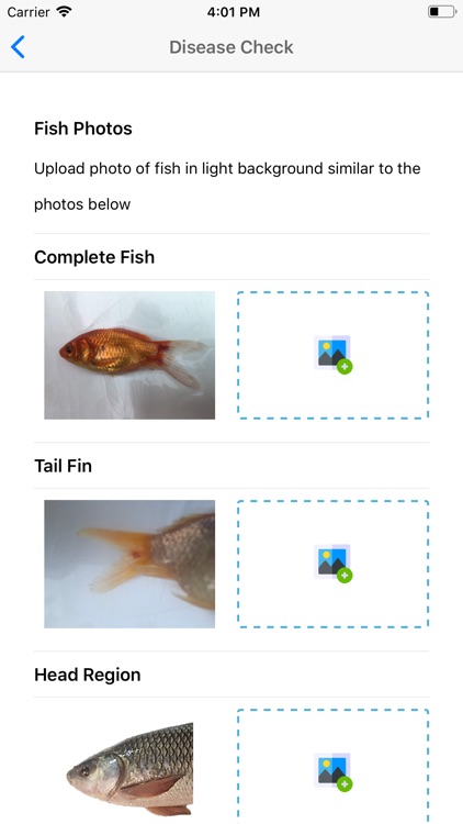 FishMD screenshot-4