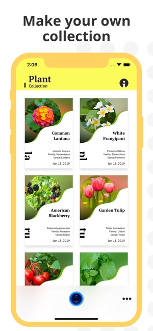 Plant Identification(圖3)-速報App