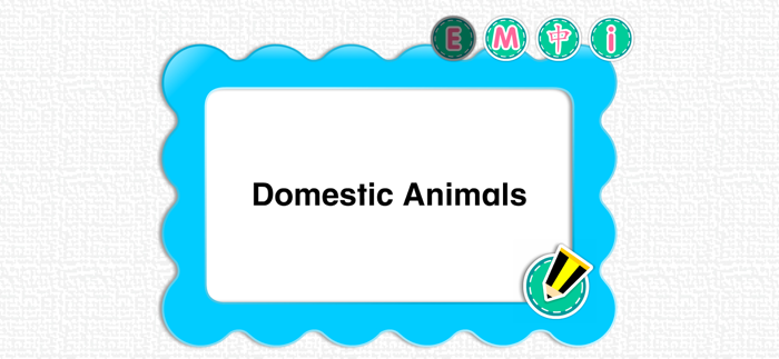 Picture Dictionary - Animals