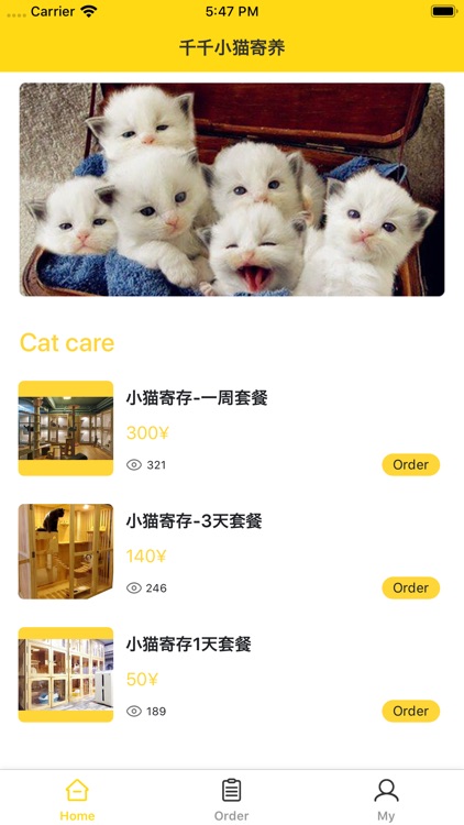 千千小猫寄养