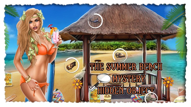 The Summer Beach Mystery