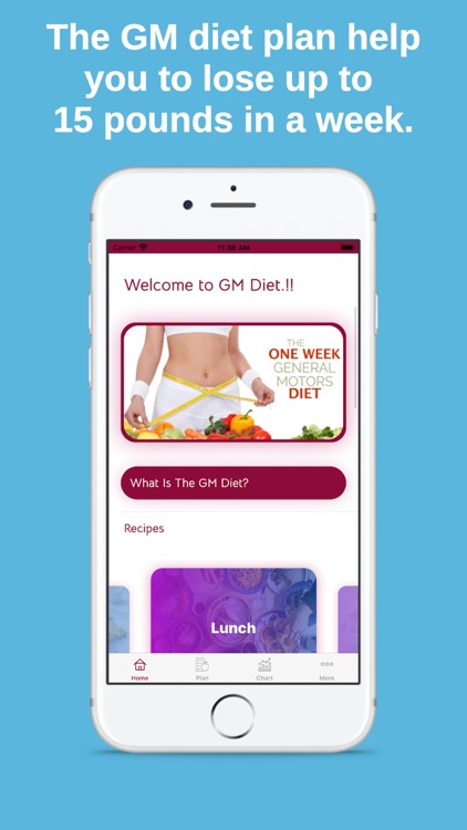 GM Diet : 7 Days Meal Planner