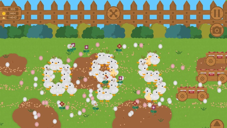 My Duck Farm