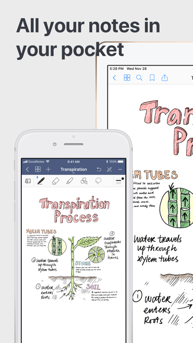 GoodNotes 5 Screenshot 1