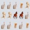 User have to match all the animals pictures to win the game in the limited time