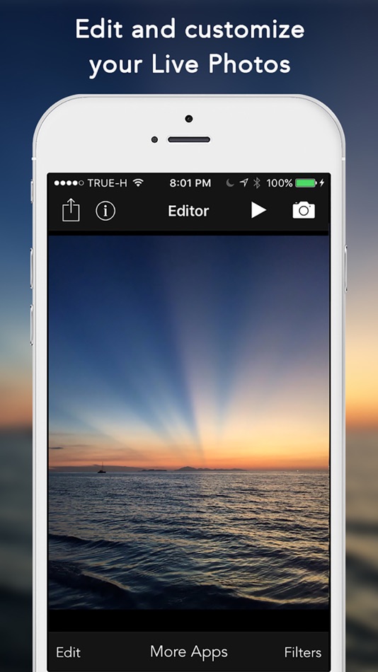 Live editor 24. Live Editor. Live share. Share me IOS.