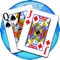 Pinochle - Online & offline