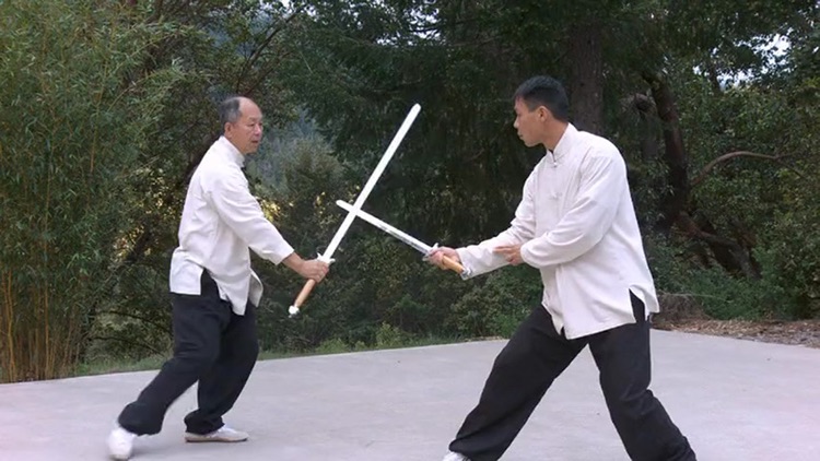 Tai Chi Sword for Beginners screenshot-3