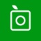 Instantly identify plants of all kinds: flowers, trees, succulents, mushrooms, cacti and more