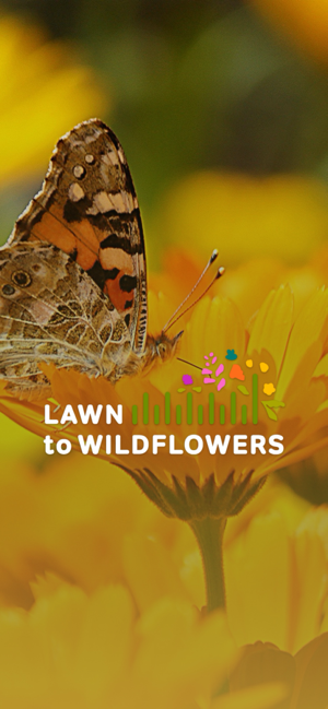 Lawn to Wildflowers