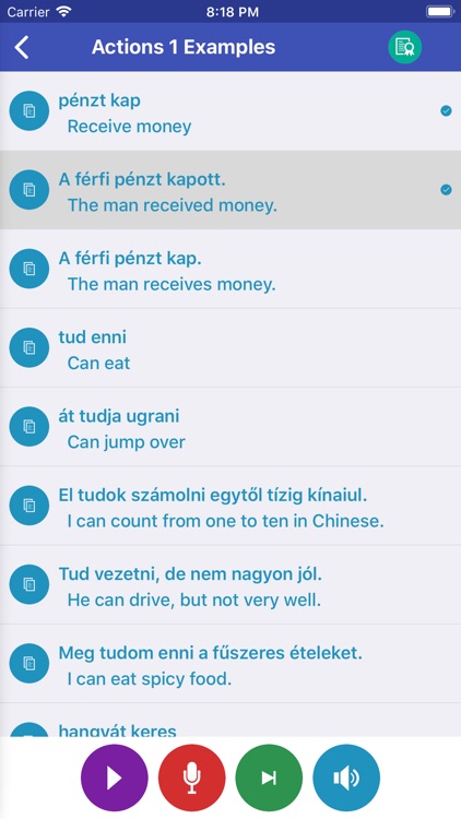 Learn Hungarian Daily screenshot-4