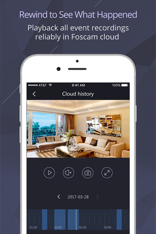 Foscam screenshot 3